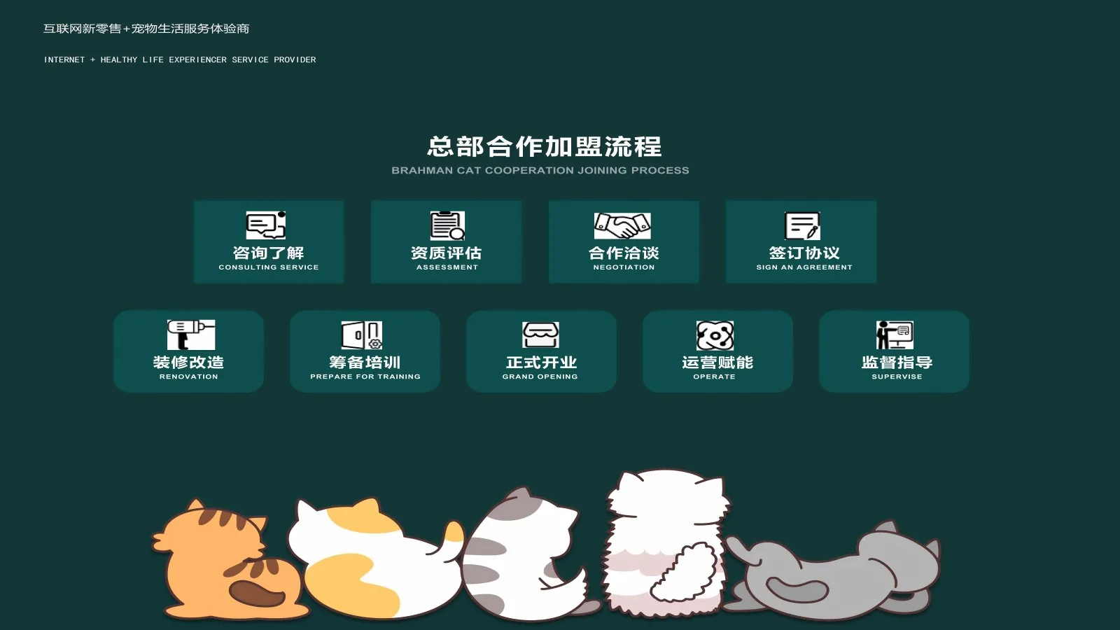 宠洗科技总部合作加盟流程